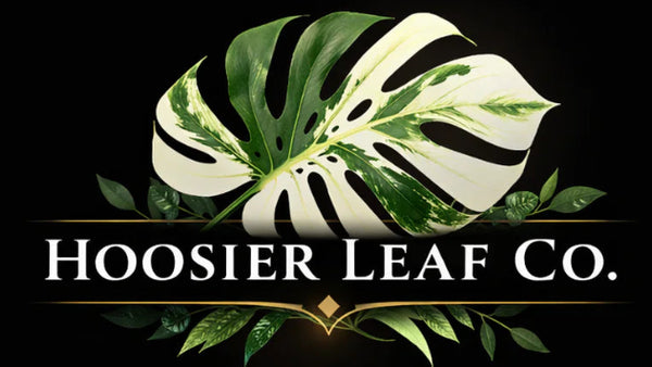 Hoosier Leaf Co